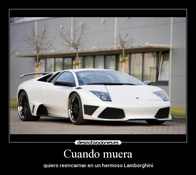 Cuando muera - quiero reencarnar en un hermoso Lamborghini