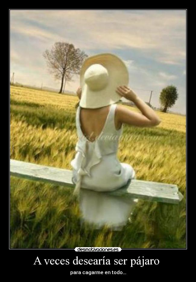 A veces desearía ser pájaro - para cagarme en todo...