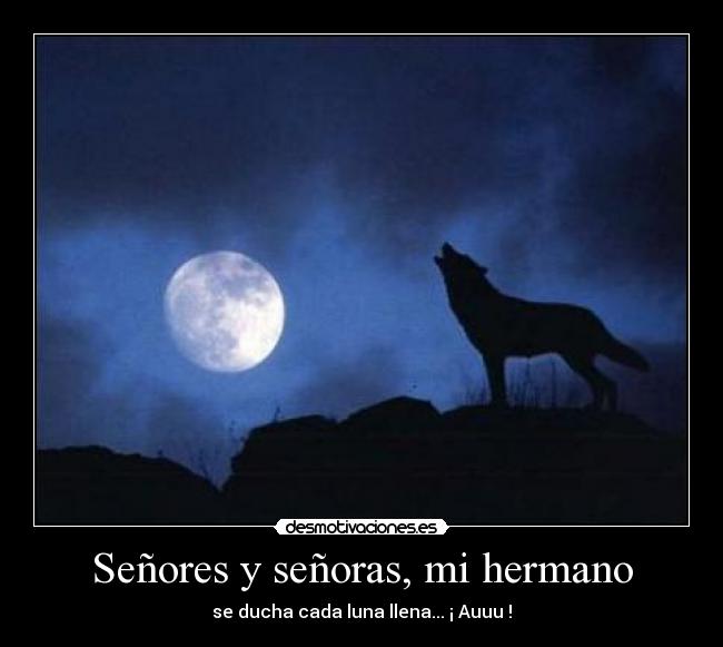 carteles lobo ducha luna llena desmotivaciones