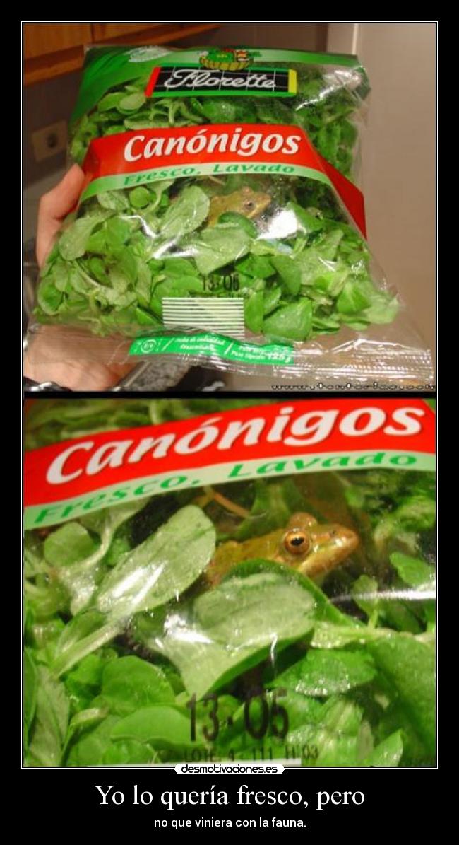 Yo lo quería fresco, pero -