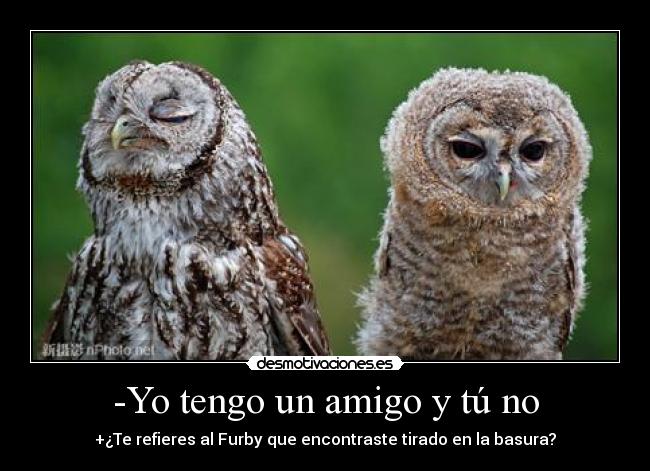 carteles furby buhos amigo desmotivaciones