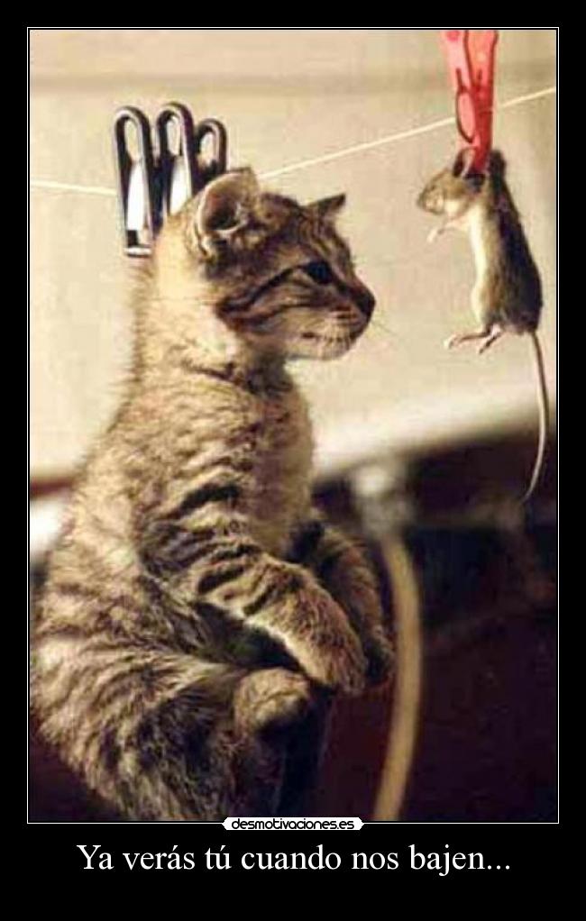 Ya verás tú cuando nos bajen... - 
