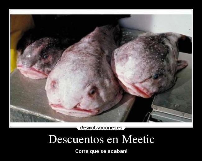 Descuentos en Meetic -