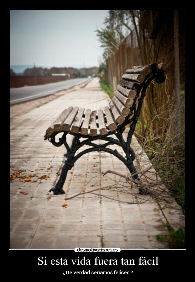 carteles vida seyf desmotivaciones