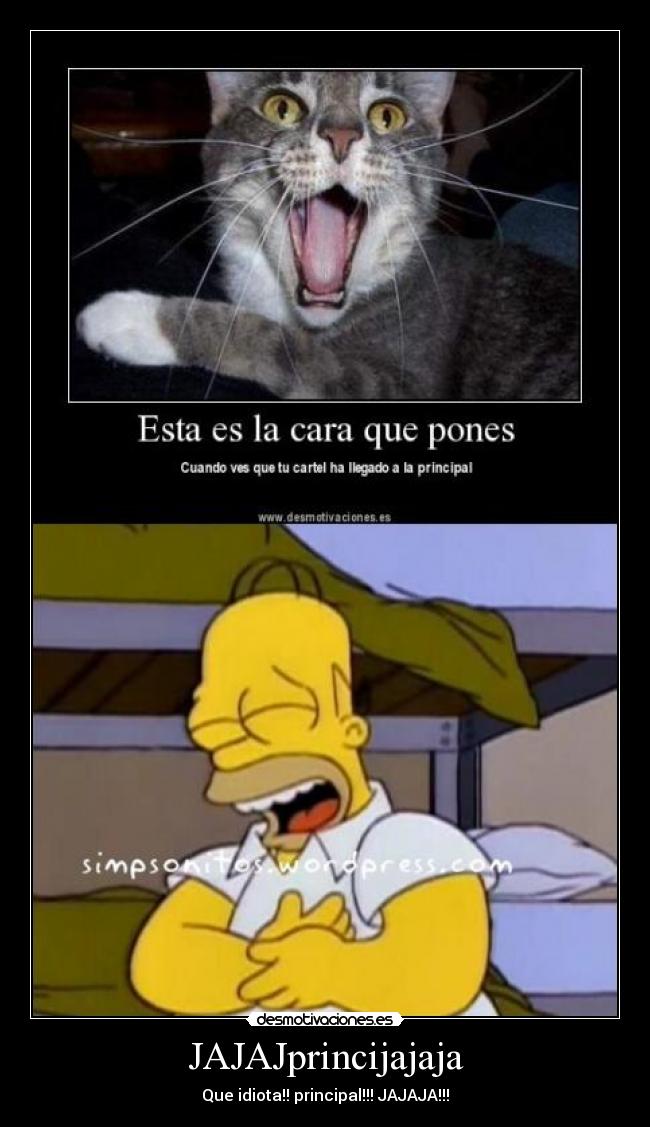 JAJAJprincijajaja - 