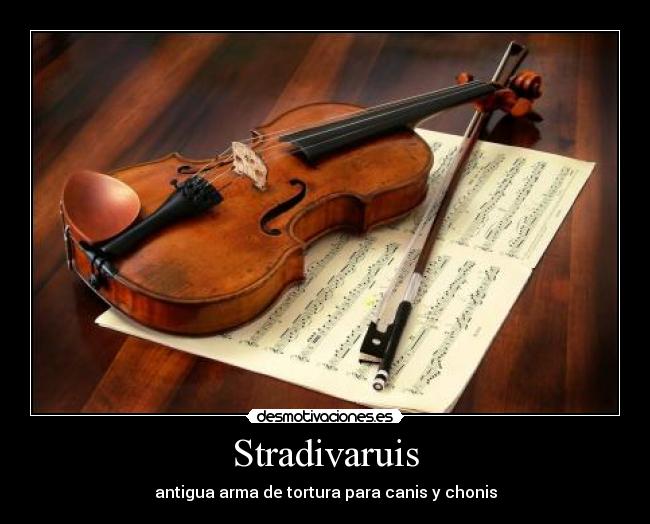 Stradivaruis -