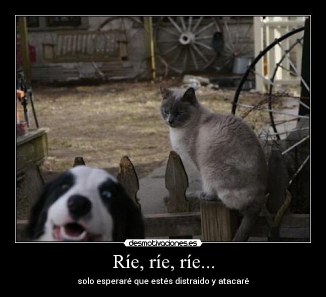 Ríe, ríe, ríe... - 
