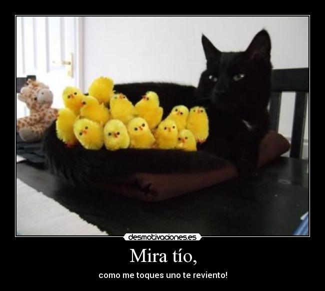 Mira tío, -