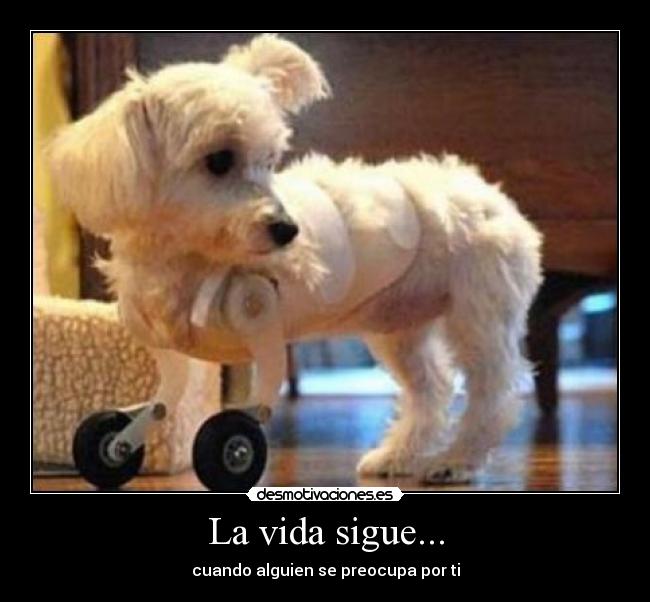 La vida sigue... - cuando alguien se preocupa por ti