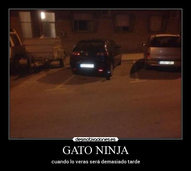GATO NINJA - cuando lo veras será demasiado tarde