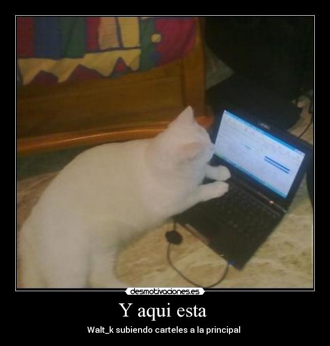 Y aqui esta  - Walt_k subiendo carteles a la principal 