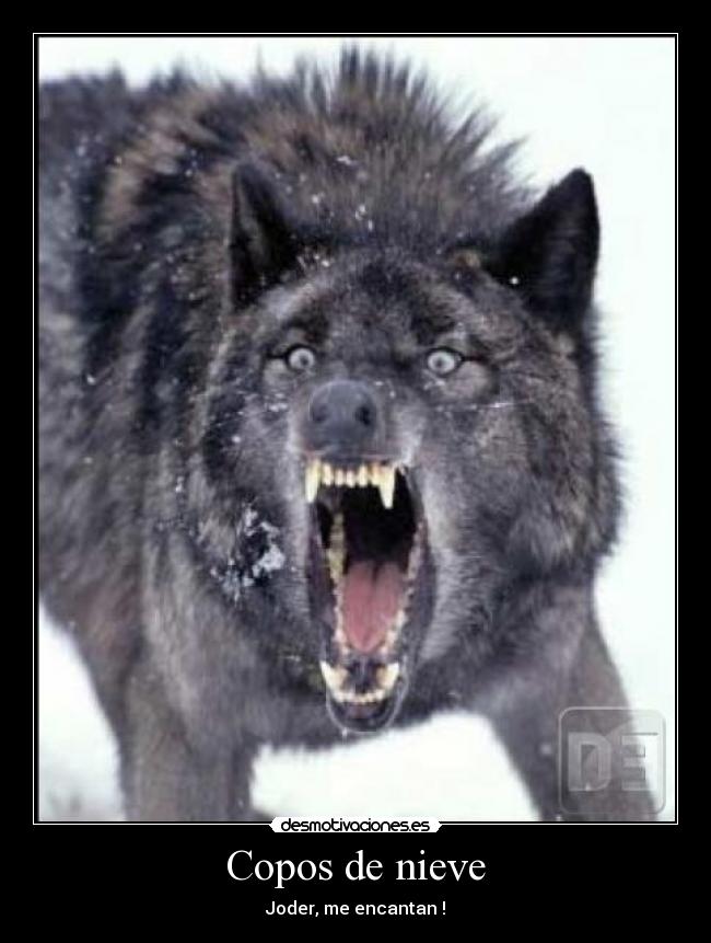 Copos de nieve - Joder, me encantan !