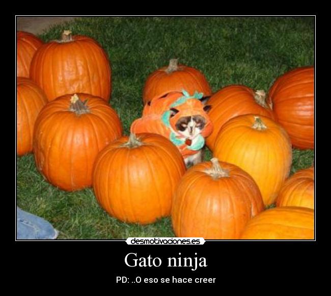 carteles vrandraguay desmotivaciones