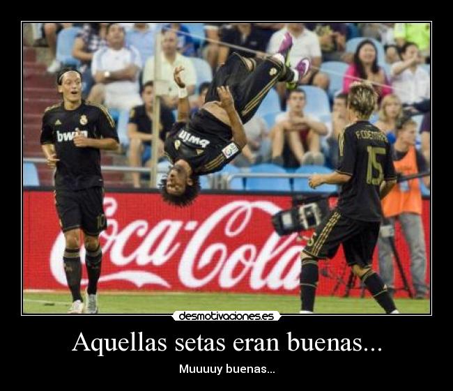 carteles marcelo loco mierda gravedad setas buenas desmotivaciones