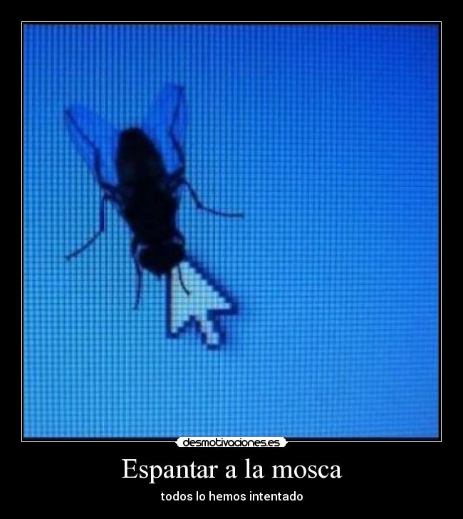 Espantar a la mosca - todos lo hemos intentado