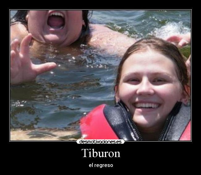 Tiburon - el regreso