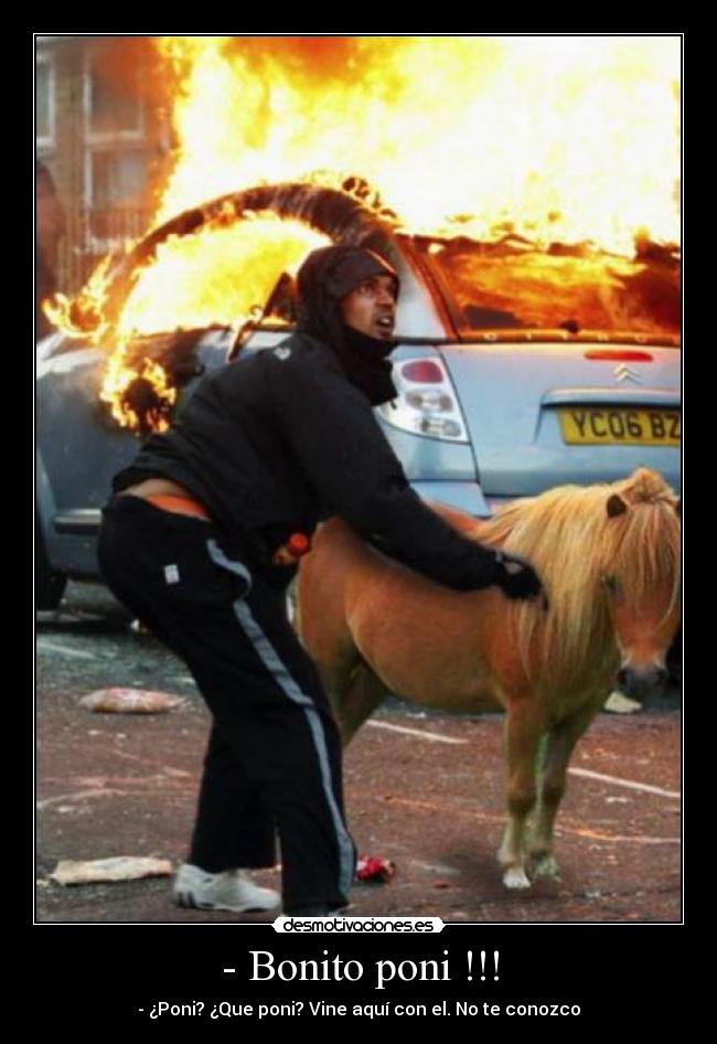 - Bonito poni !!! -