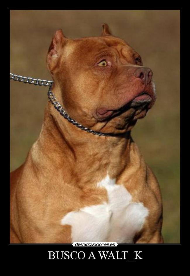 BUSCO A WALT_K -