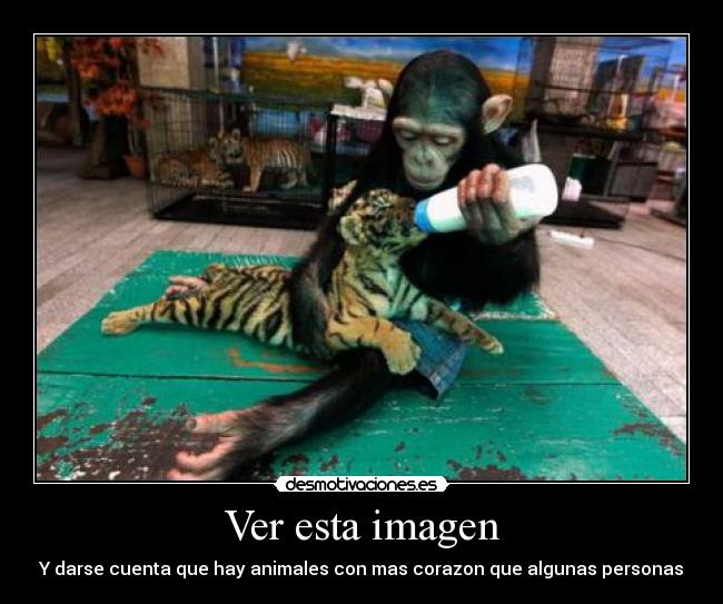 Ver esta imagen - Y darse cuenta que hay animales con mas corazon que algunas personas