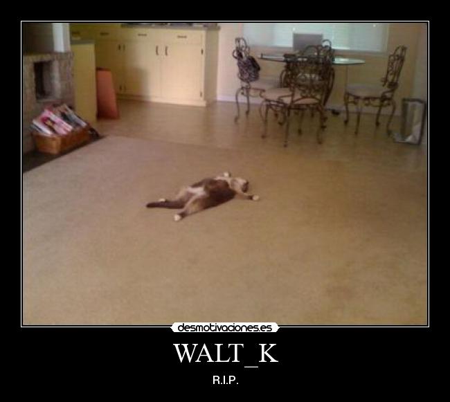 WALT_K - R.I.P.