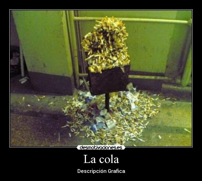 La cola - Descripción Grafica