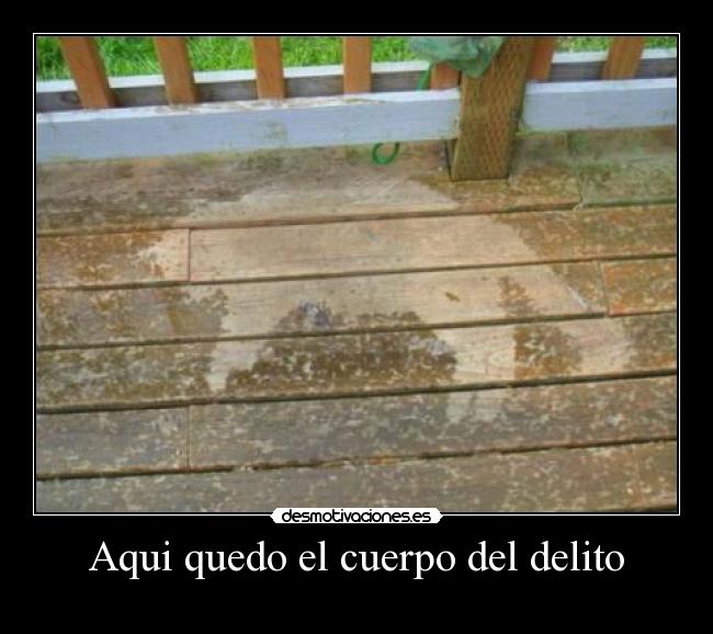 Aqui quedo el cuerpo del delito -