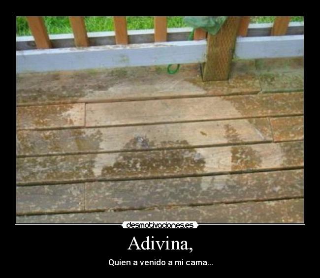 Adivina, - 