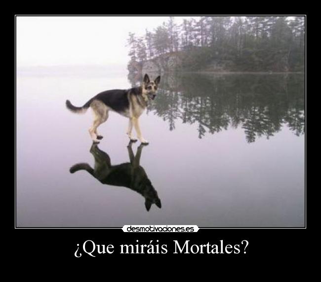 ¿Que miráis Mortales? - 