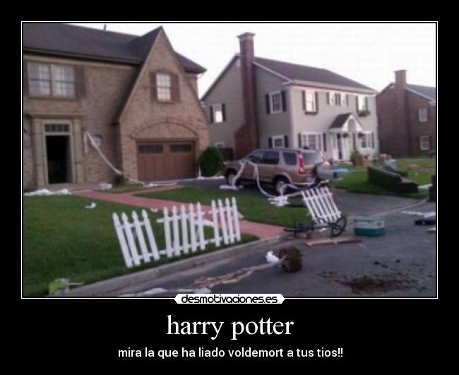 harry potter - mira la que ha liado voldemort a tus tios!!