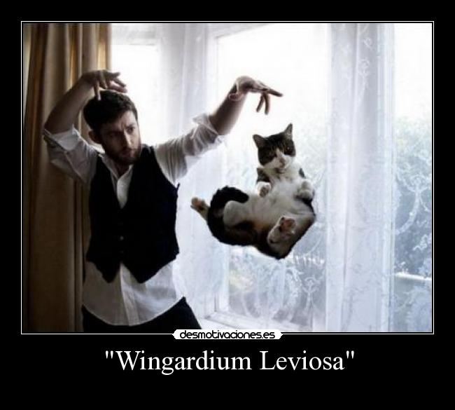 Wingardium Leviosa -