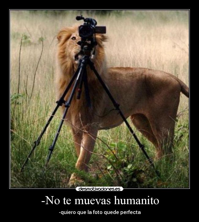 -No te muevas humanito - -quiero que la foto quede perfecta