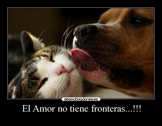 El Amor no tiene fronteras...!!! - 