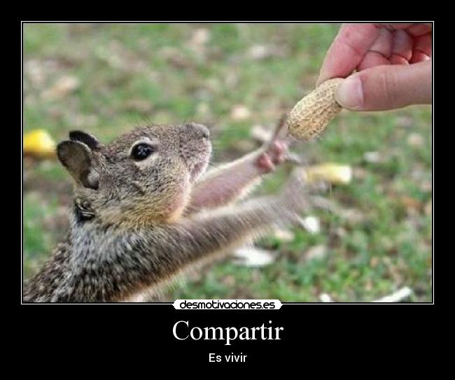 Compartir - Es vivir