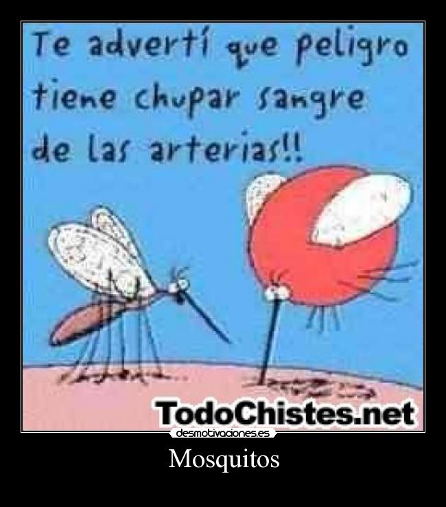 Mosquitos - 