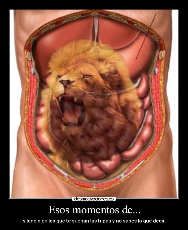 Esos momentos de... - silencio en los que te suenan las tripas y no sabes lo que decir.
