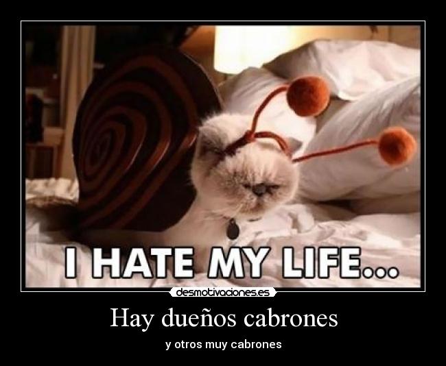 Hay dueños cabrones -