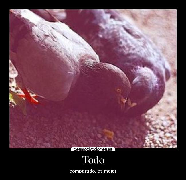 Todo - 