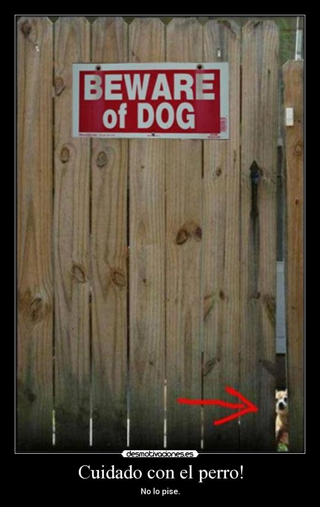 Cuidado con el perro! - No lo pise.
