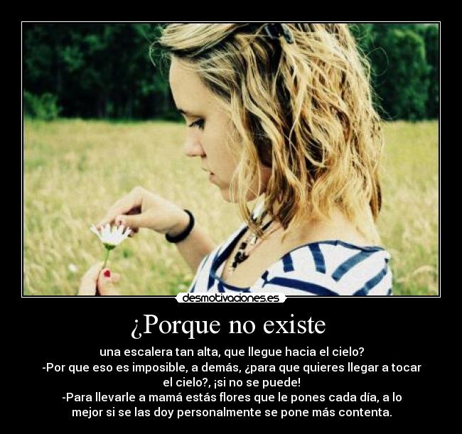 ¿Porque no existe  - una escalera tan alta, que llegue hacia el cielo?
-Por que eso es imposible, a demás, ¿para que quieres llegar a tocar
el cielo?, ¡si no se puede!
-Para llevarle a mamá estás flores que le pones cada día, a lo
mejor si se las doy personalmente se pone más contenta.