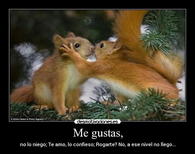 Me gustas, -