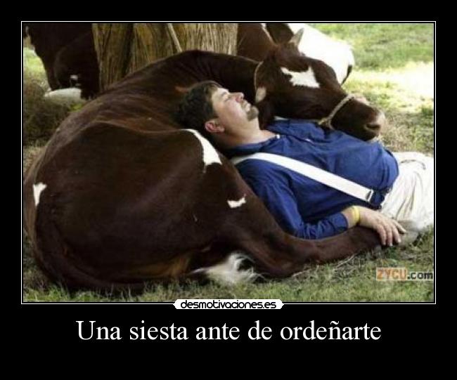 carteles fefeeeweweewewewew desmotivaciones