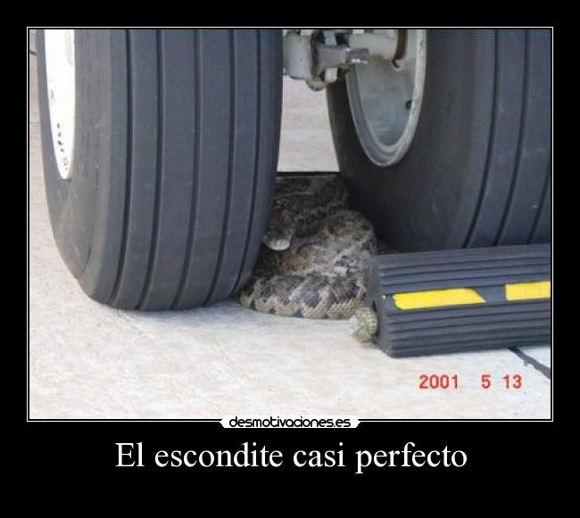 El escondite casi perfecto -