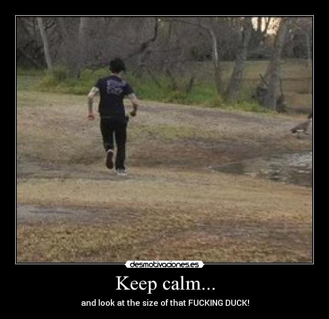 Keep calm... - 