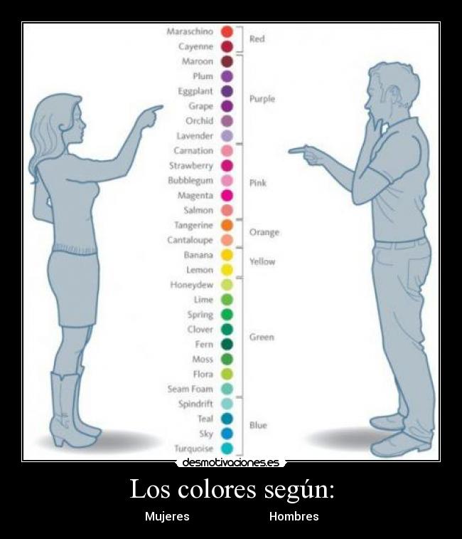 Los colores según: - 