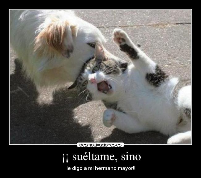 ¡¡ suéltame, sino - 