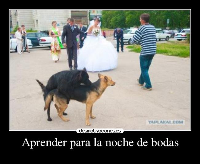 Aprender para la noche de bodas -