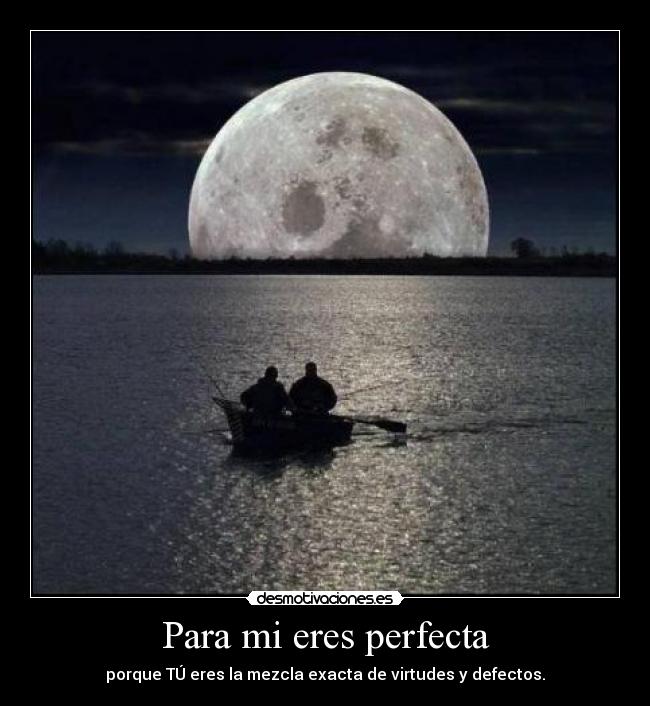 Para mi eres perfecta - 