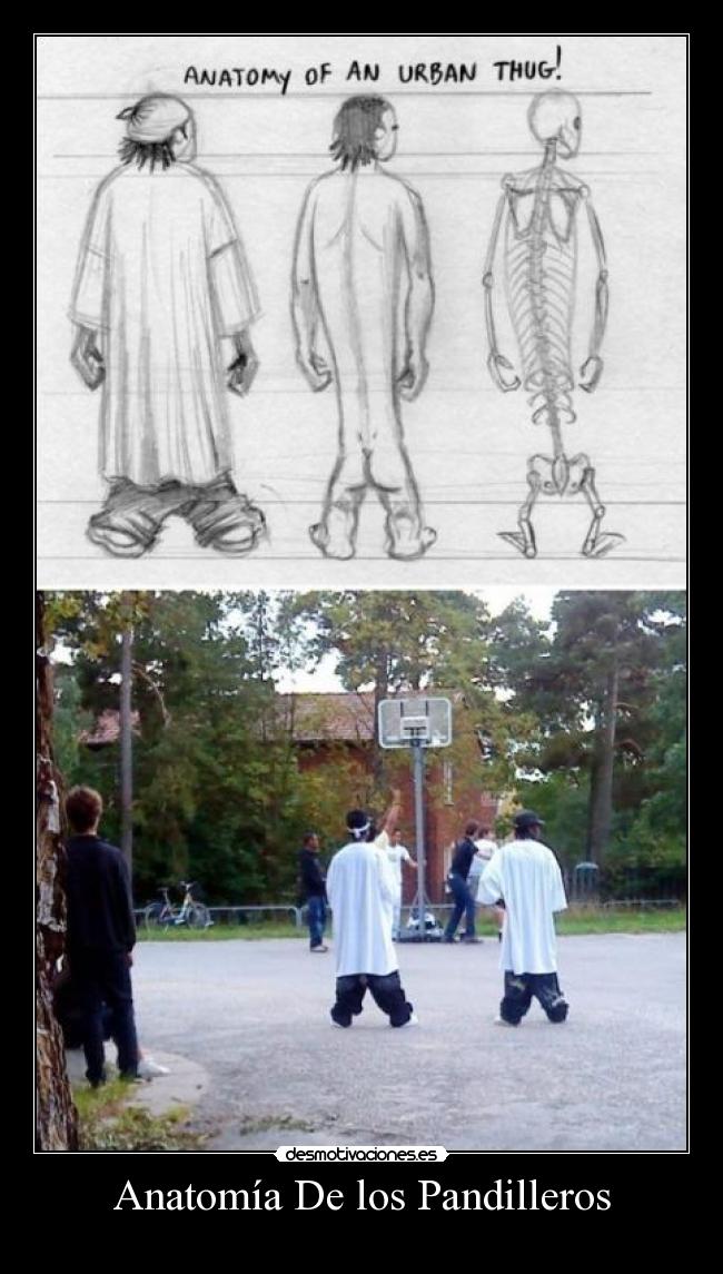 Anatomía De los Pandilleros - 