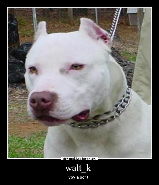 walt_k -