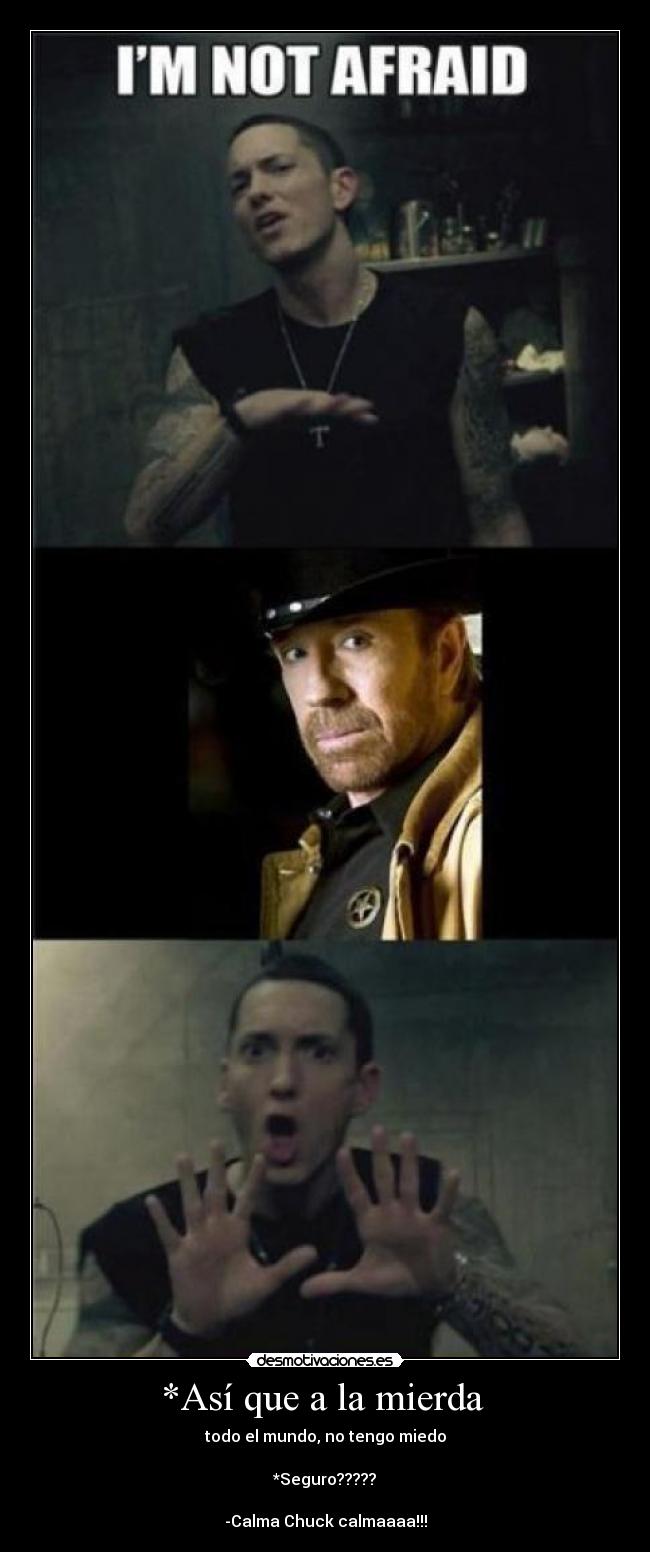 *Así que a la mierda  - todo el mundo, no tengo miedo

*Seguro?????

-Calma Chuck calmaaaa!!!